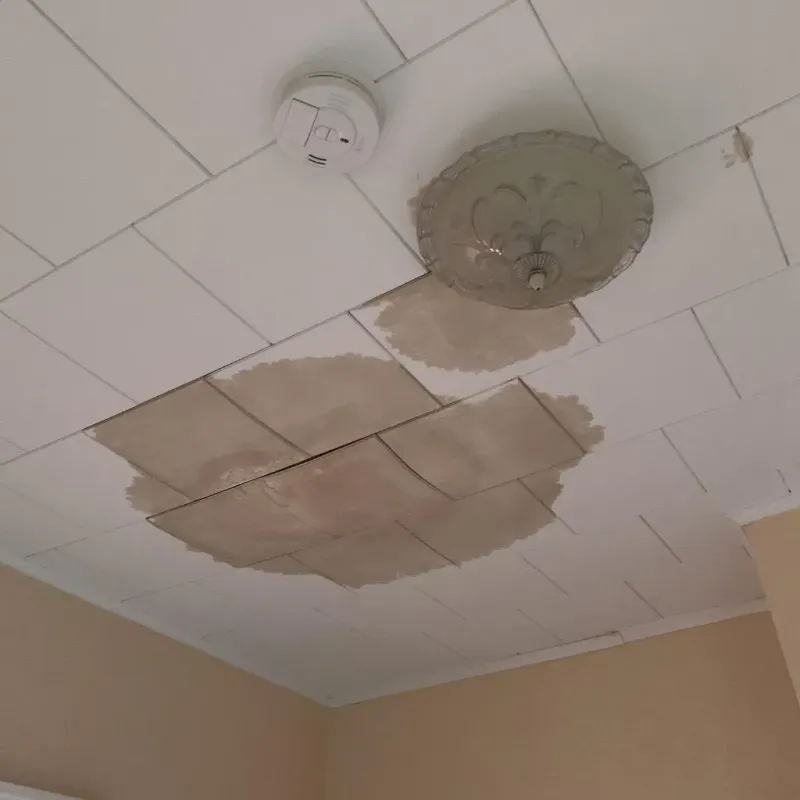 Ceiling Water Damage Repair in Hudson, MA