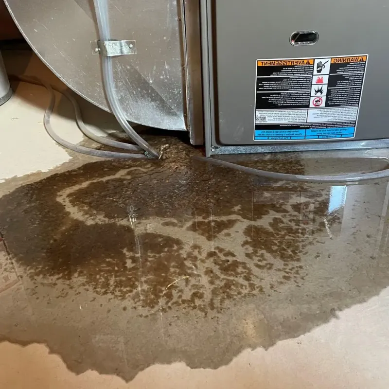 Pipe Burst and Leak Restoration in Hudson, MA