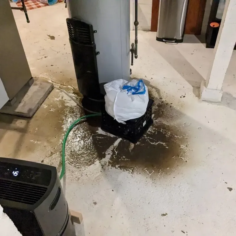 Sewage Backup Cleanup Service in Hudson, MA
